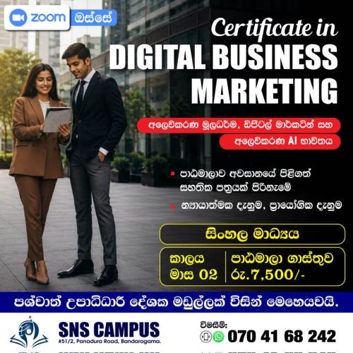 Certificate in Digital Business Marketing - SNS Campus Bandaragama